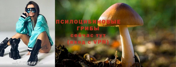 крисы Белоозёрский