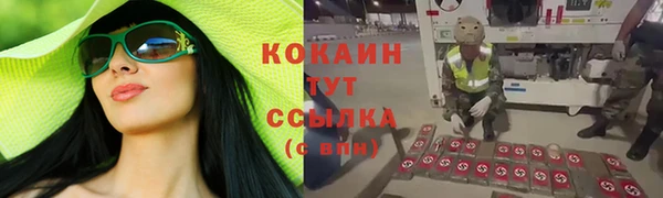 крисы Белоозёрский