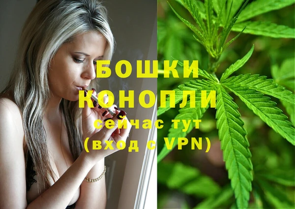 крисы Белоозёрский