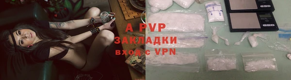 гидропоника Белокуриха
