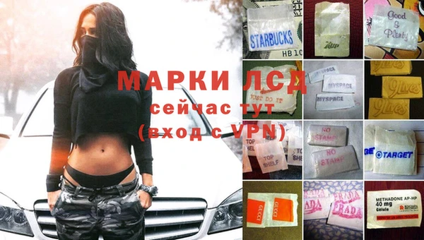 гидропоника Белокуриха
