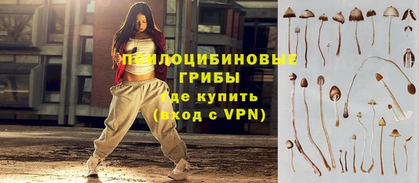 гидропоника Белокуриха