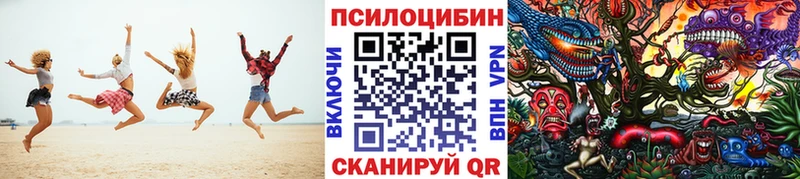 Купить  Краснотурьинск  Галлюциногенные грибы Psilocybe 